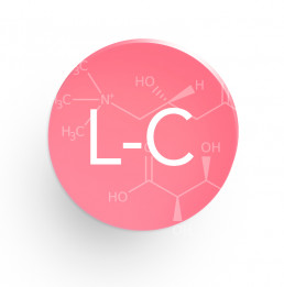 L-CARNITINA (CARNITINE)